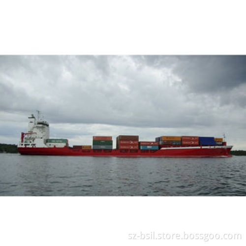 Ocean Freight Door-to-Door Service, Custom Clearance